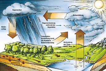 Wasserkreislauf
